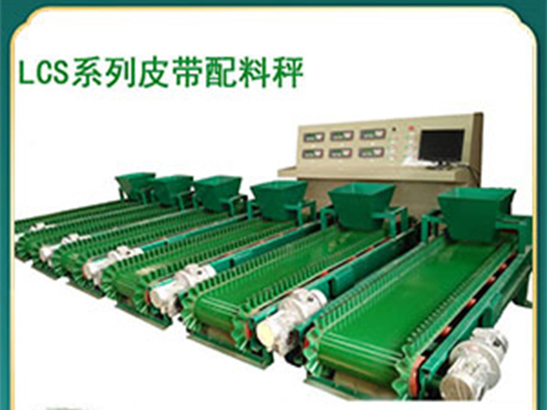 山东裙边橡胶带定量给料机