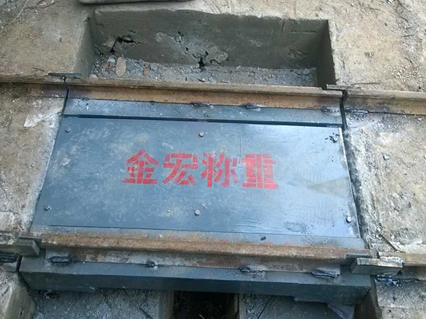 山东电子轻轨衡